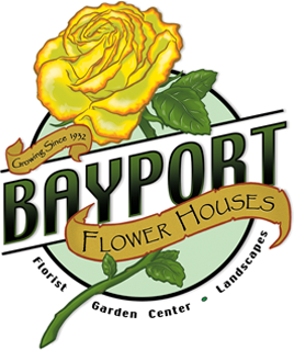 bayportflower.png